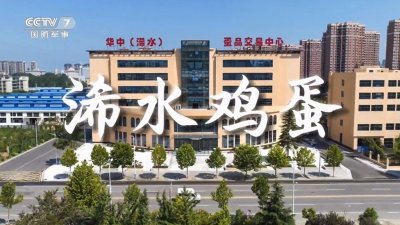 乡村振兴品牌先行--江山景色美，鸡蛋看浠水